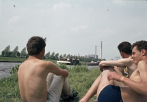 856842 Afbeelding van enkele zonnende jongemannen aan de kant van het Amsterdam-Rijnkanaal te Utrecht, ter hoogte van ...